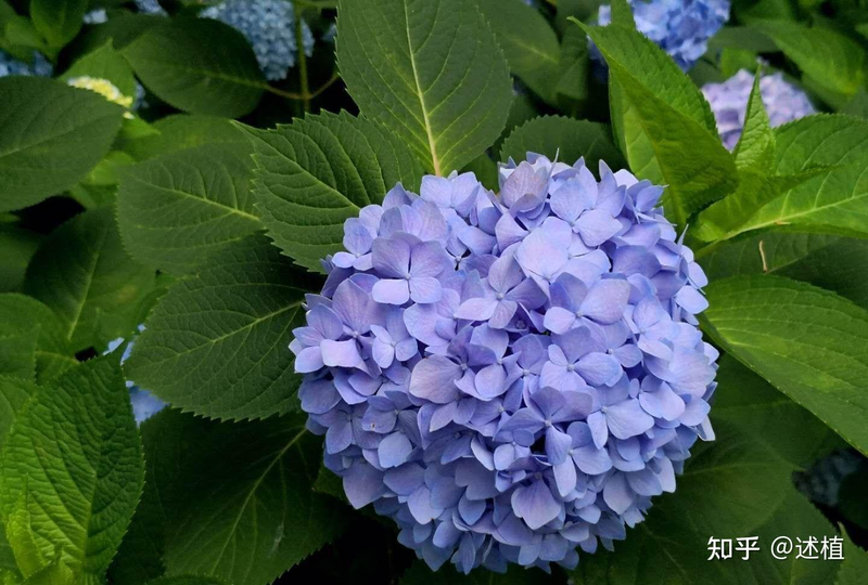 The steps of embroidery