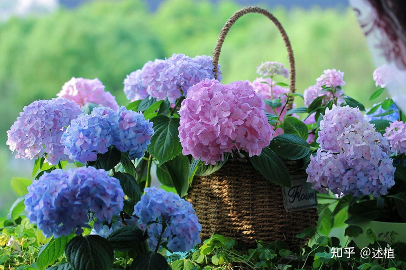 The steps of embroidery