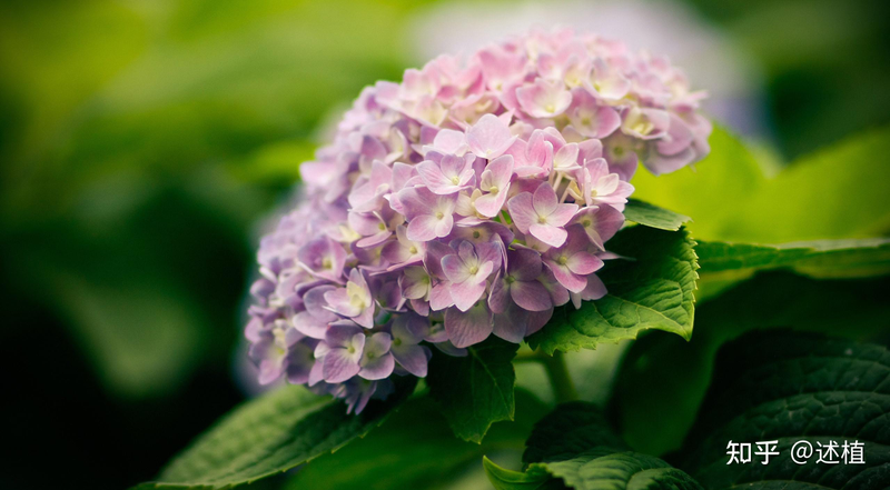 The steps of embroidery