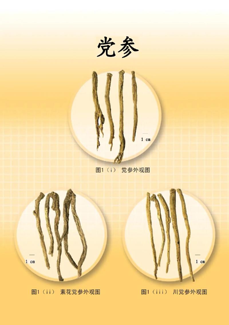 Party participation technology and acre revenue