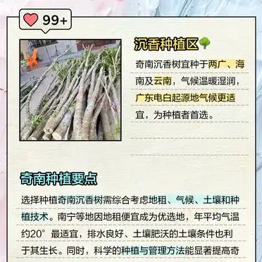 A video of the art of fragrance tree planting