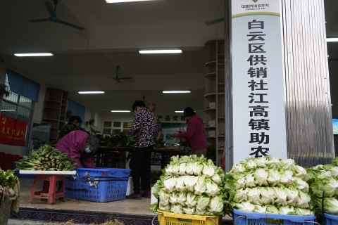 团购网站排名广州