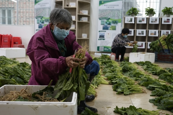 团购网站排名广州