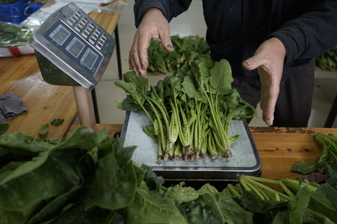 团购网站排名广州