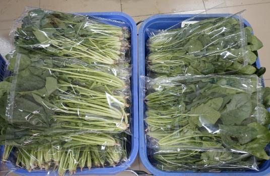 团购网站排名广州