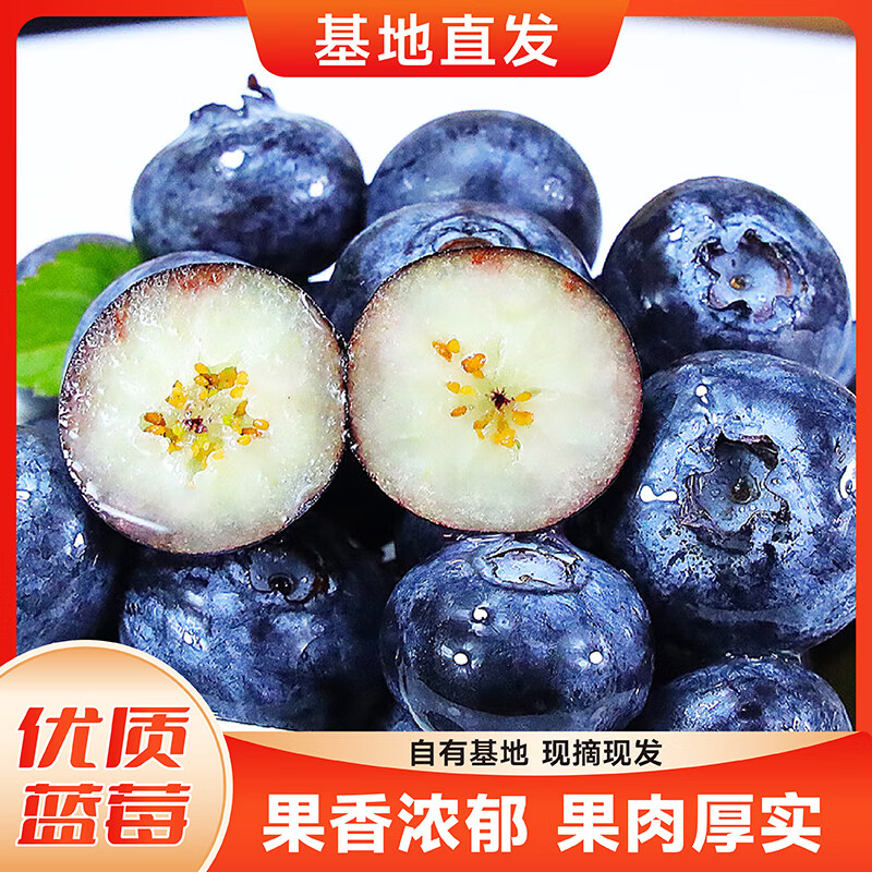 蓝莓种植技术有哪些