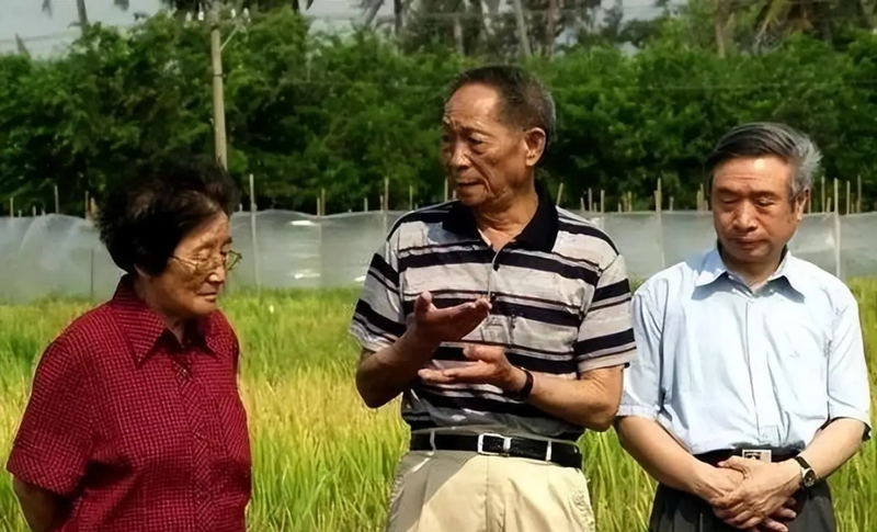 Zhejiang 842 watermelon cultivation techniques