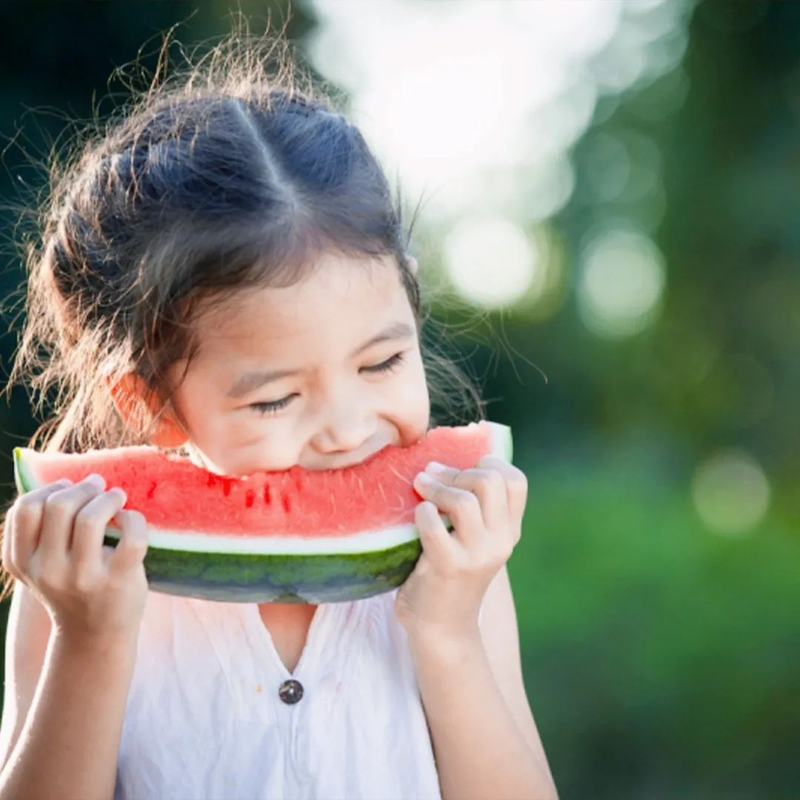 Zhejiang 842 watermelon cultivation techniques