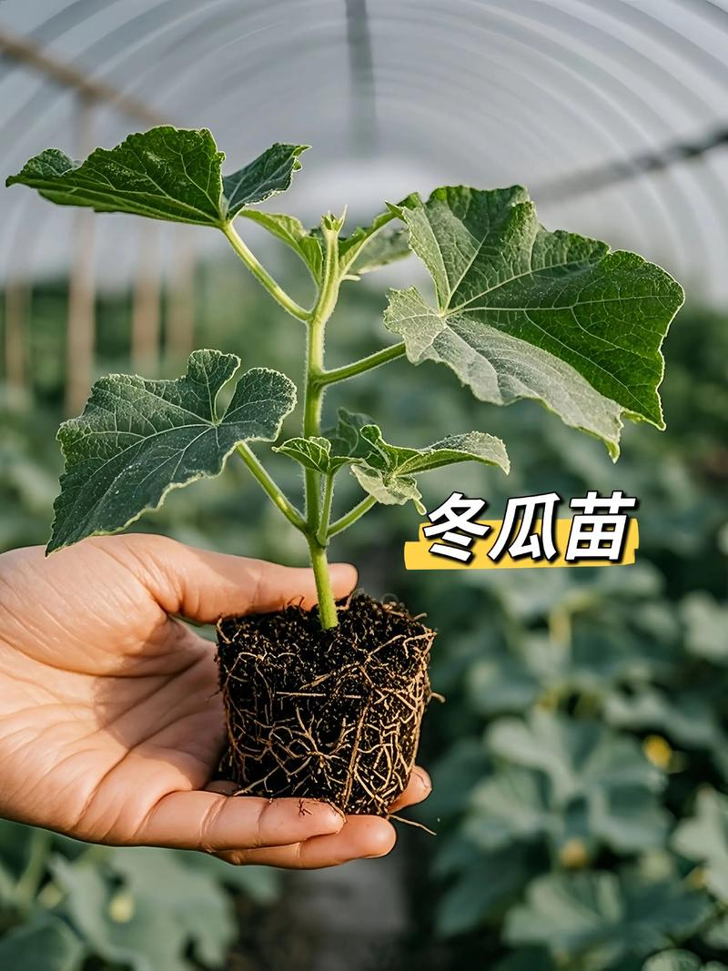 Cultivation techniques