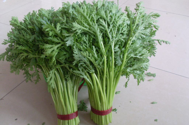 香菜种植方法图片大全