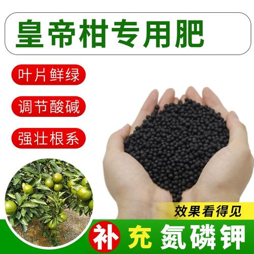 黄帝柑种植技术