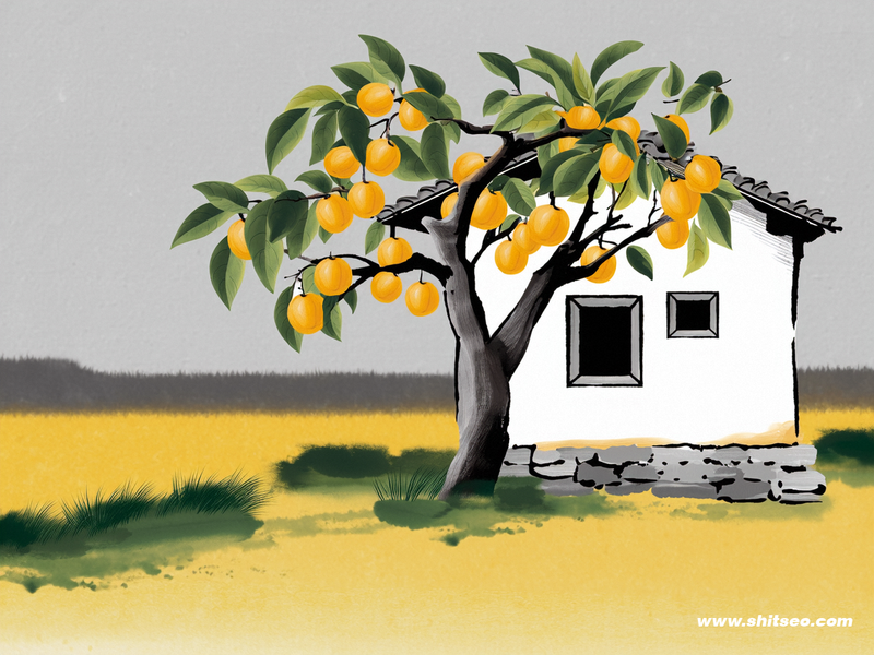 如何有效提高网站排名