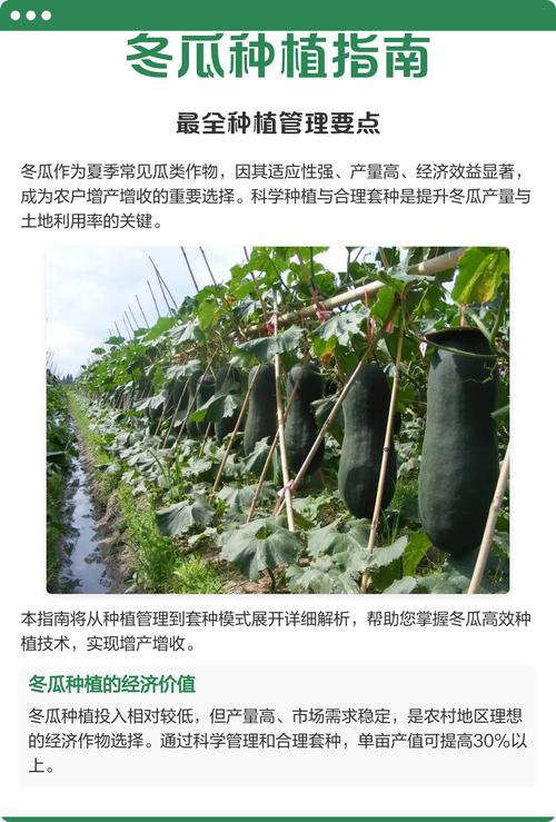 Cultivation techniques