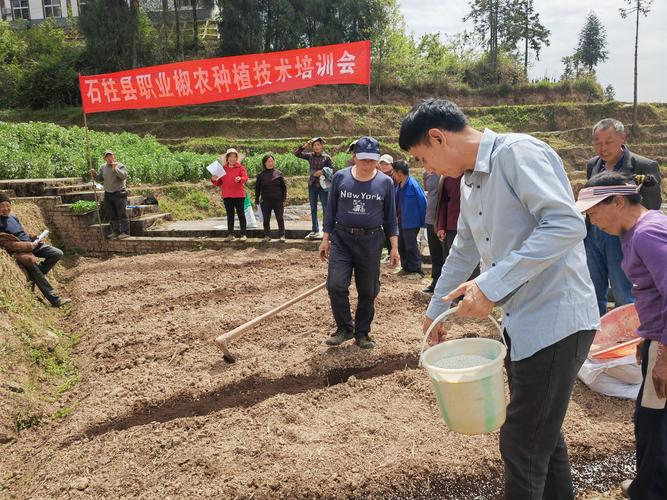 冬瓜的种植技术