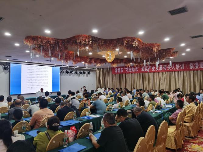 冬瓜的种植技术