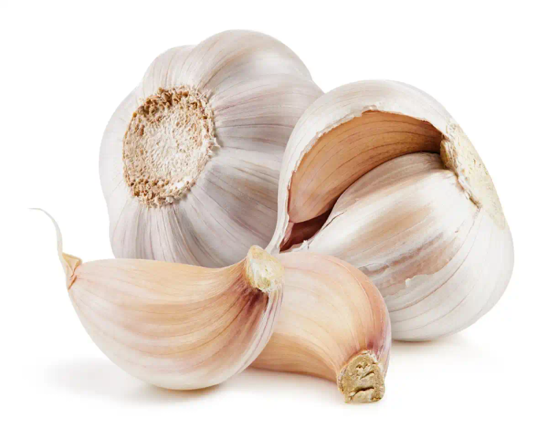 Northeast spring garlic growing technology