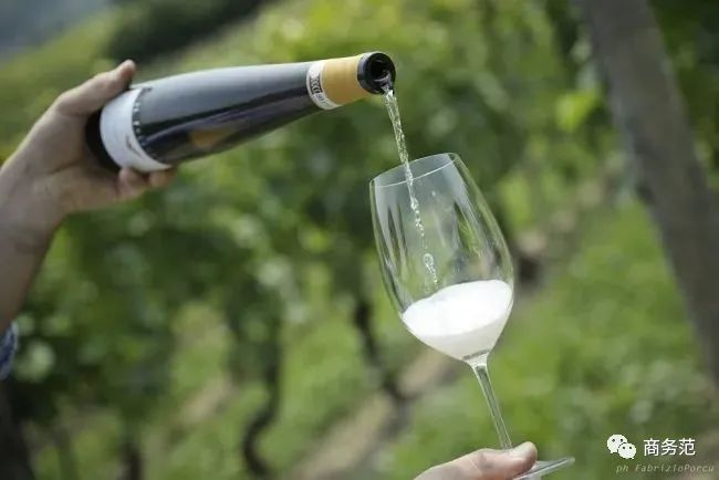 起泡酒开瓶方法