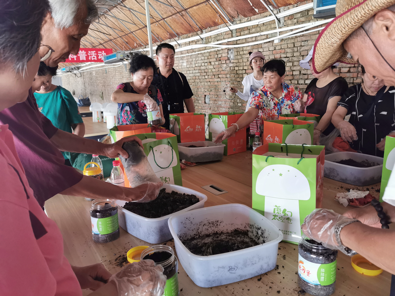 蘑菇怎么种植方法