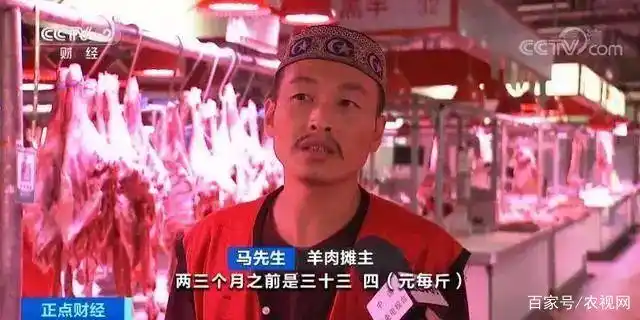 羊肉价格变动