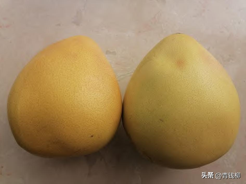 柚子的种植技术