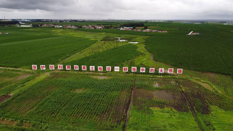 寒地水稻种植技术