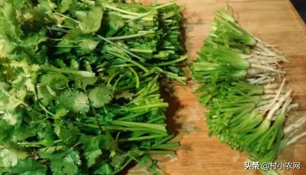 Pictures of the methods used to grow the cuisine