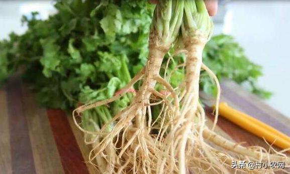 Pictures of the methods used to grow the cuisine