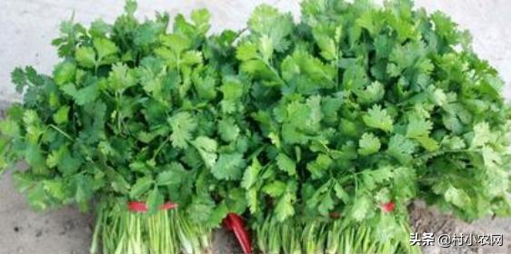 Pictures of the methods used to grow the cuisine