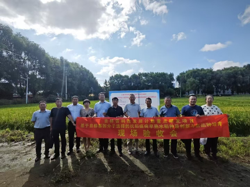 寒地水稻种植技术