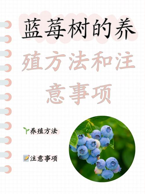 蓝莓种植技术有哪些