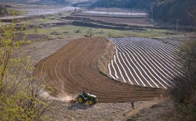 东北春天大蒜种植技术