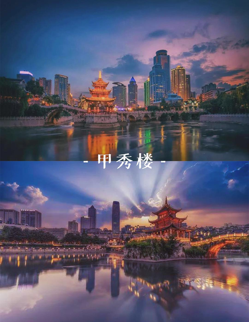 贵州特种野猪价格