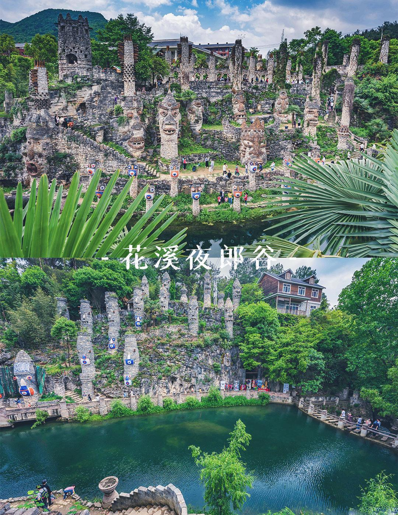 贵州特种野猪价格