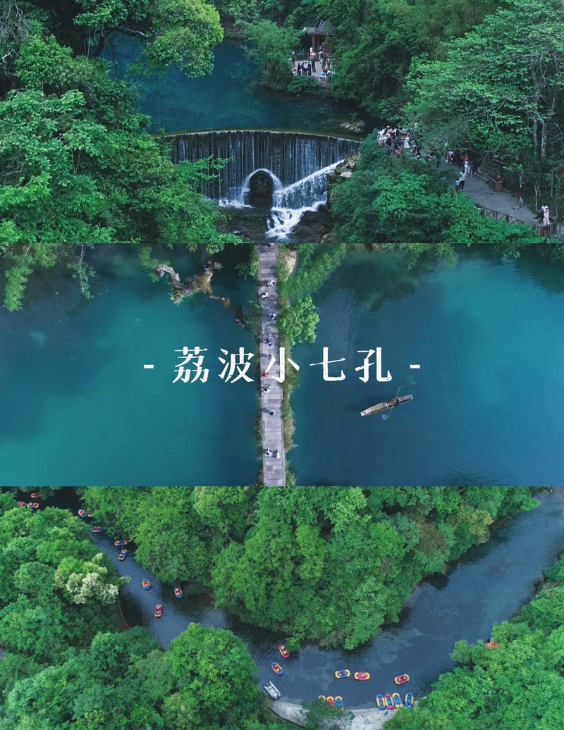 贵州特种野猪价格