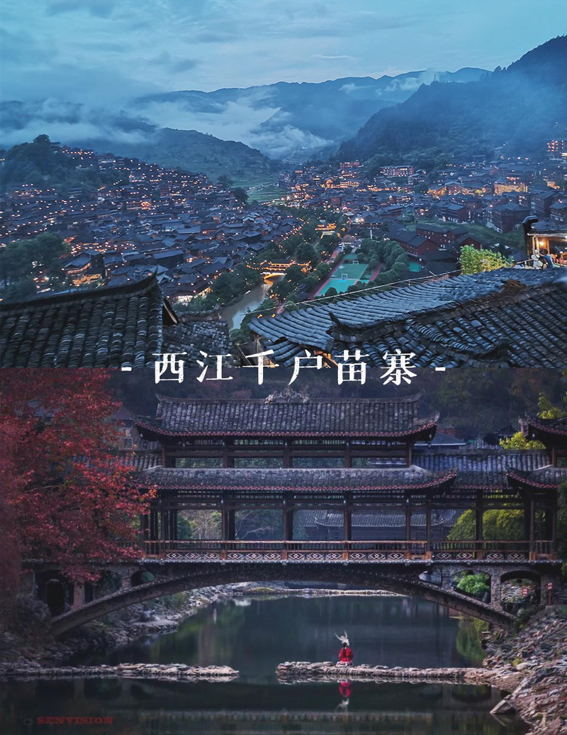 贵州特种野猪价格