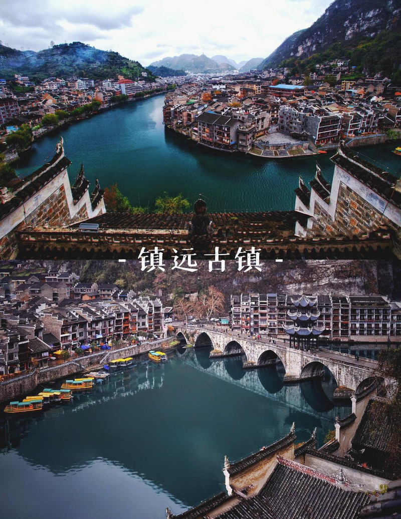 贵州特种野猪价格