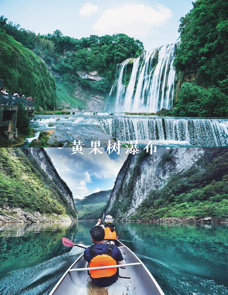 贵州特种野猪价格