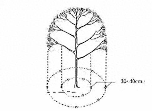 Plantation techniques