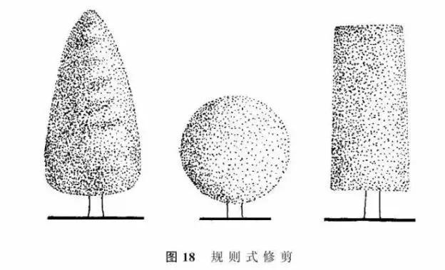 Plantation techniques