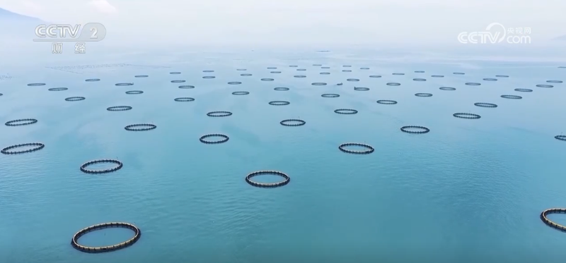 Two seasons of grape cultivation