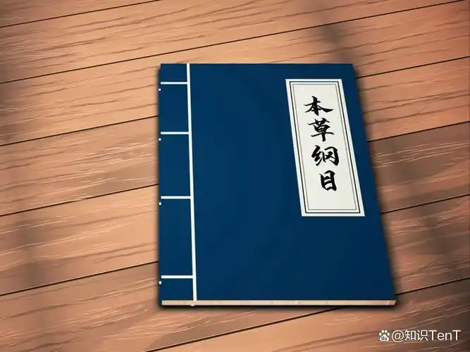 热带蓖麻种植技术