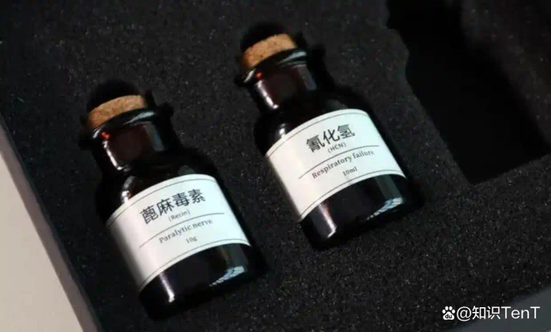 热带蓖麻种植技术