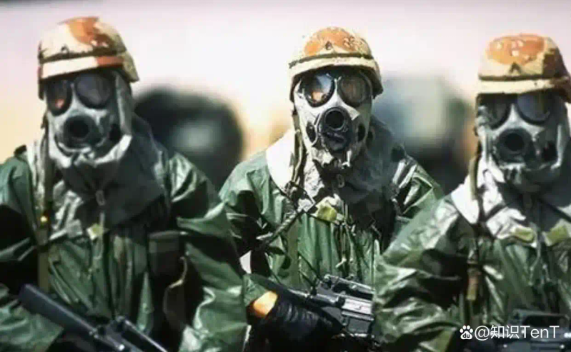 热带蓖麻种植技术