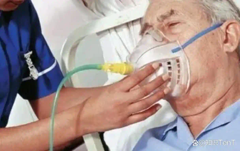 热带蓖麻种植技术