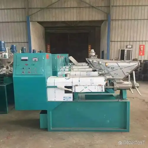 热带蓖麻种植技术