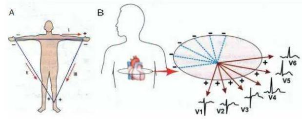ecg心率的计算原理