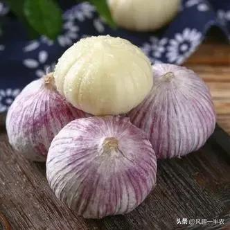 When did you plant garlic in beijing