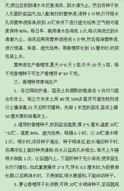 Champagne planting technology