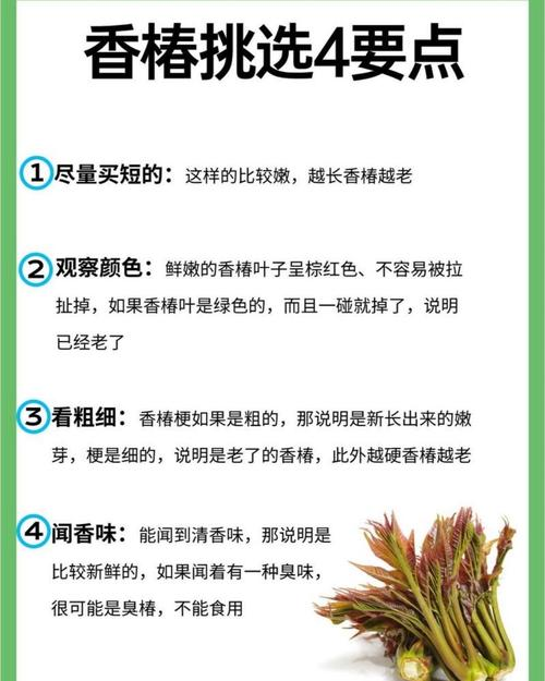 Champagne planting technology