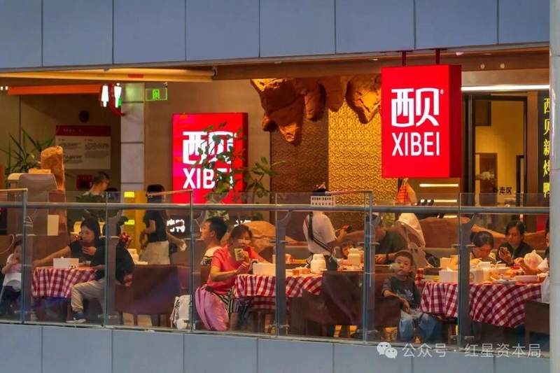 西兰花的种植技术视频